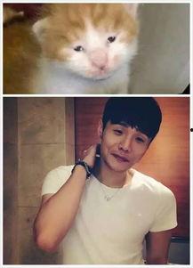 喵星娱乐吃瓜群众是谁