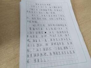 吃瓜大赛作文两轮,两轮角逐，瓜界风云再起